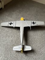 IMG_8153.jpeg