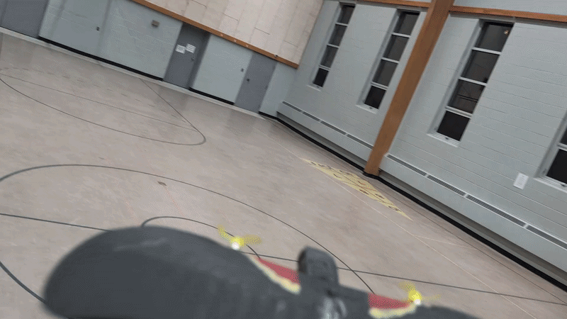 Sparrow (GIF).gif