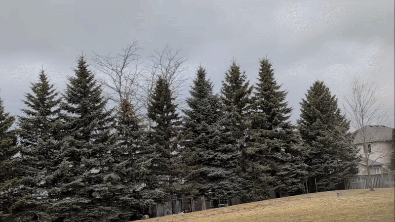 EZ Glider, Take 2 (GIF).gif