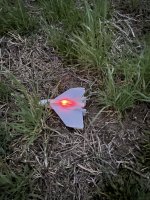 IMG_7114.jpeg