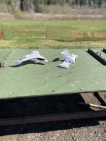 IMG_1988.jpeg