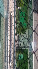 WhatsApp Image 2026-04-18 at 13.46.17.jpeg