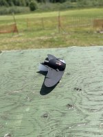 IMG_2216.jpeg
