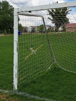 IMG_20260530_140156.jpg