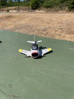 IMG_2960.jpeg