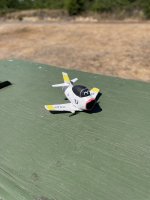 IMG_2961.jpeg