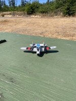 IMG_2957.jpeg