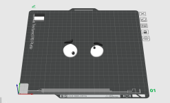 Piggy Eye - CRAZY.png