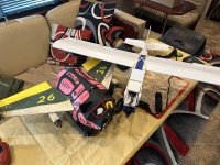 IMG_7766.jpeg