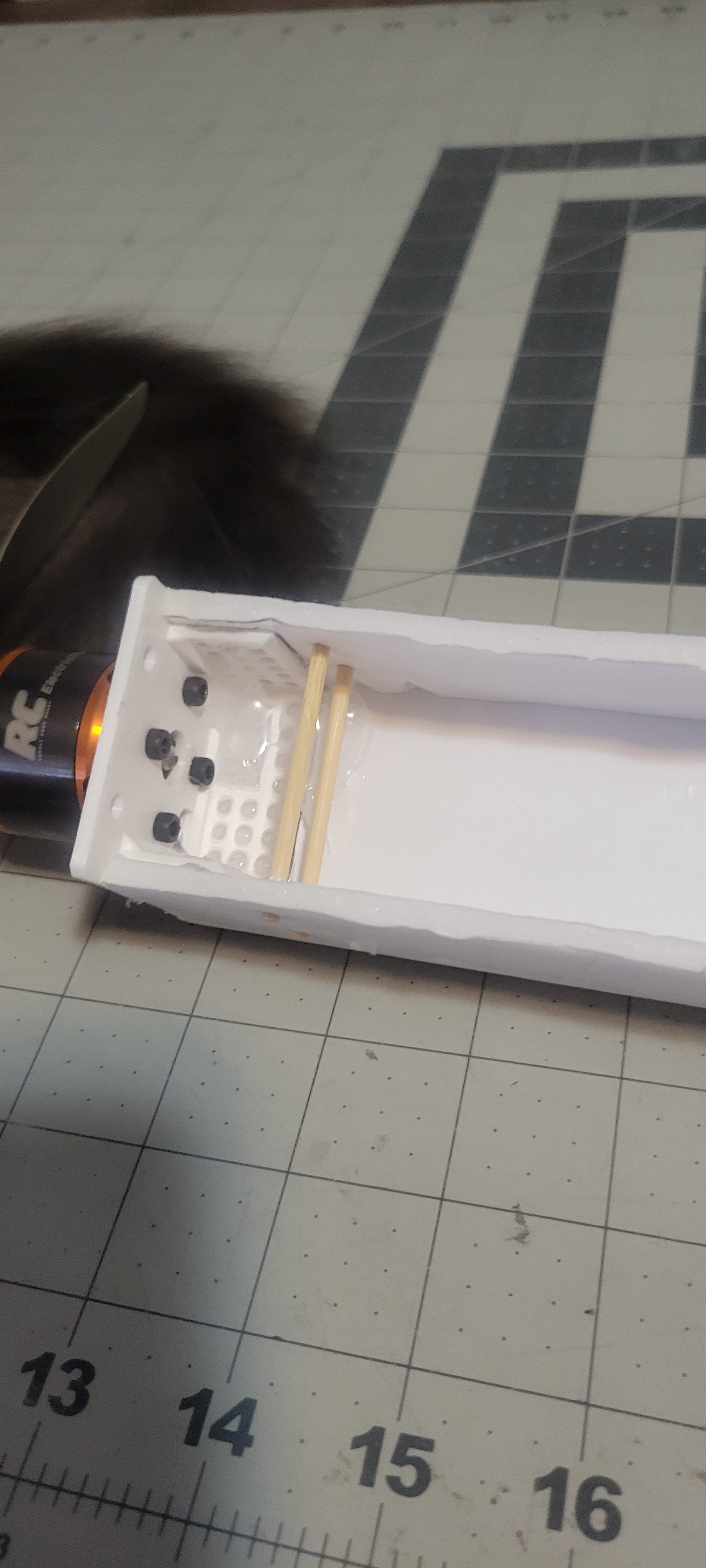 1000002562.jpg