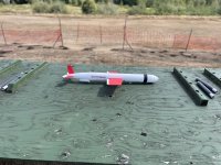 IMG_3338.jpeg