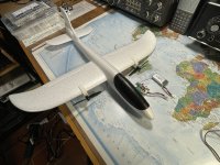 IMG_3133.jpeg