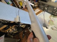 IMG_3134.jpeg