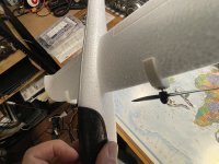 IMG_3135.jpeg