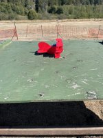 IMG_3620.jpeg