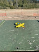 IMG_3661.jpeg