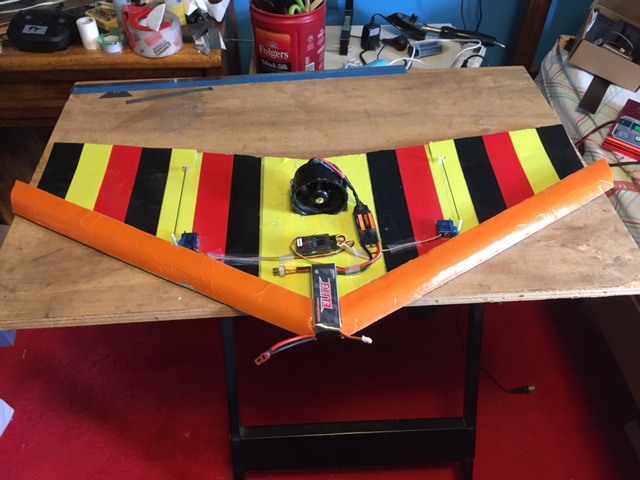 wing.JPG