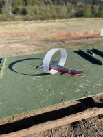 IMG_3779.jpeg